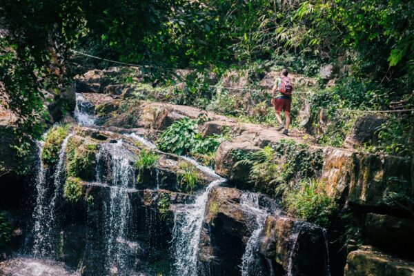 Phong Nha Botanic Garden Walking Tour