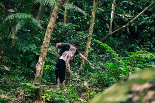 Phong Nha Botanic Garden Walking Tour