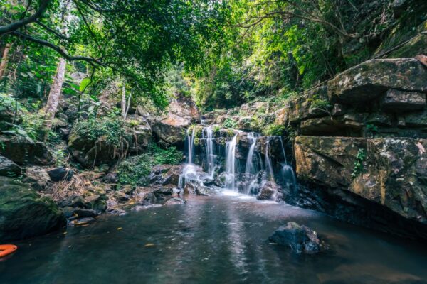 Phong Nha Botanic Garden Walking Tour