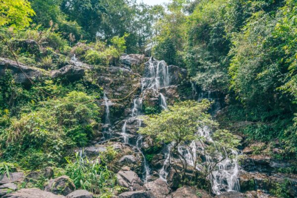 Phong Nha Botanic Garden Walking Tour