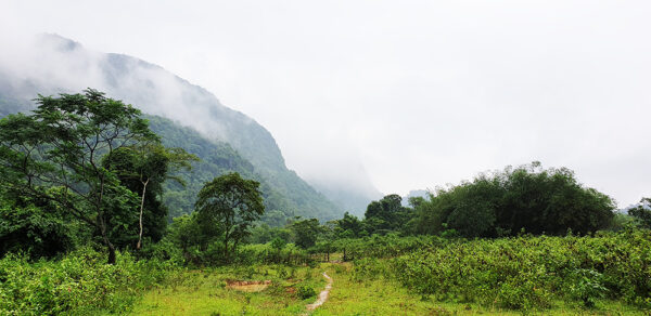 Cha Loi Cave 1 Day