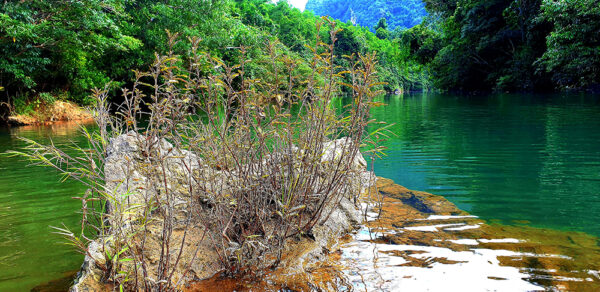 Cha Loi Cave 1 Day