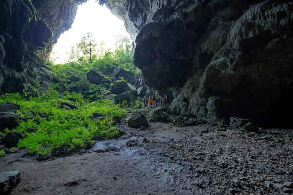 Elephant Cave & Ma Da Valley Jungle Trek 1 Day