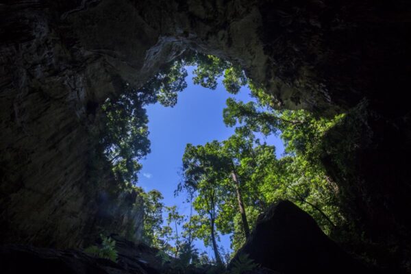 2 Days 1 Night - Hang Vom Cave Experience