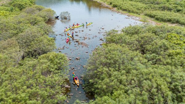 Ngon Rao Kayak Adventure