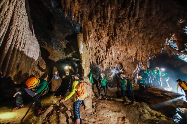 Paradise Cave - Ozo Treetop Park