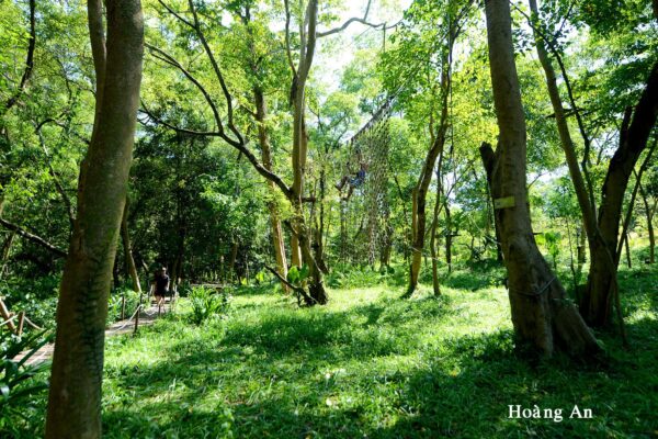 Paradise Cave - Ozo Treetop Park