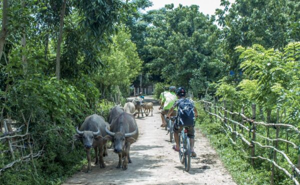 Phong Nha Village Cycling Tour