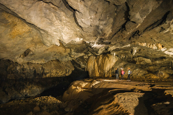 Phong Nha National Park & Paradise Cave Tour 1 Day