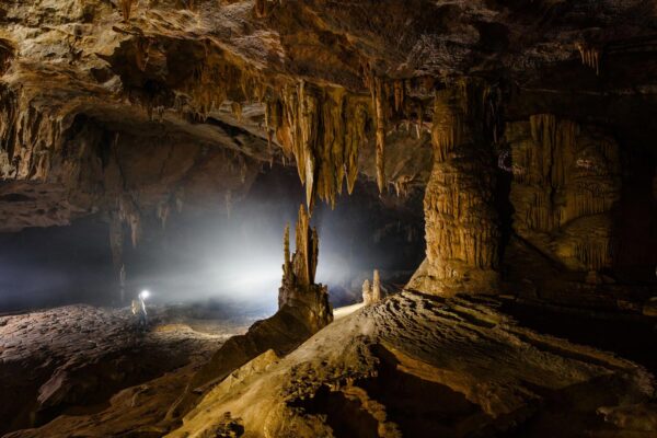 Phong Nha National Park & Paradise Cave Tour 1 Day