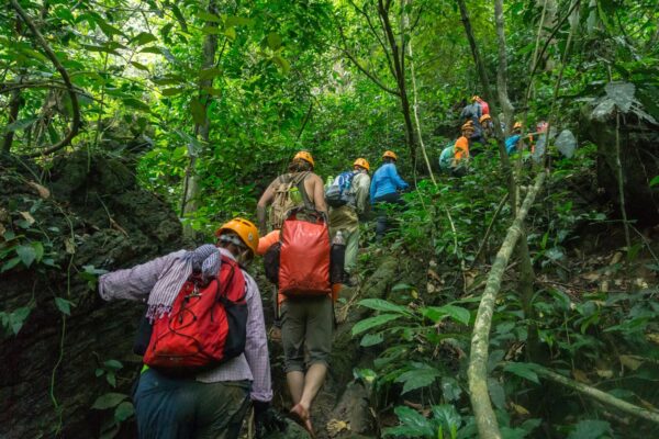 Phong Nha National Park & Paradise Cave Tour 1 Day