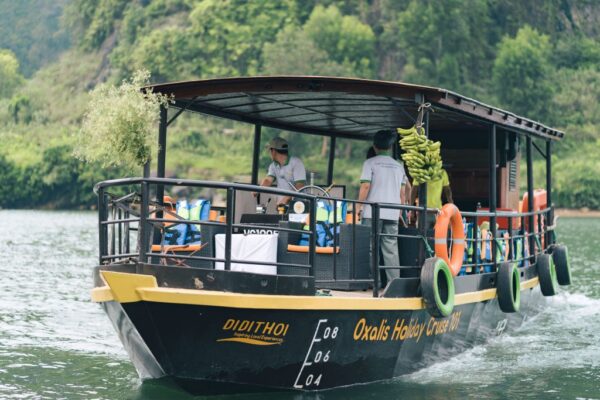 Phong Nha River Cruise 1 Day