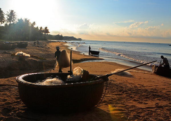 Go Fishing And Catching Cuttlefish On Nhat Le Sea